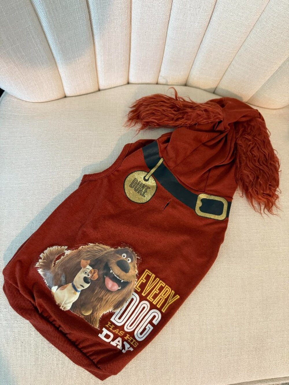 MEDIUM Secret Life Of Pets DUKE dog Halloween costume hoodie shirt ears graphic